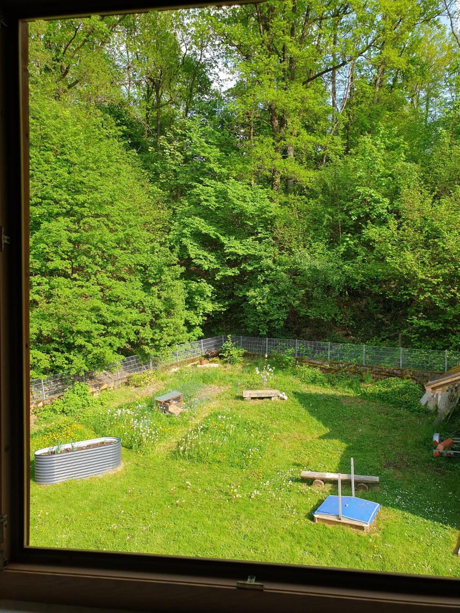 Ferienwohnung Und Sommerhaus Unter Der Burg Falkenberg  Exterior foto